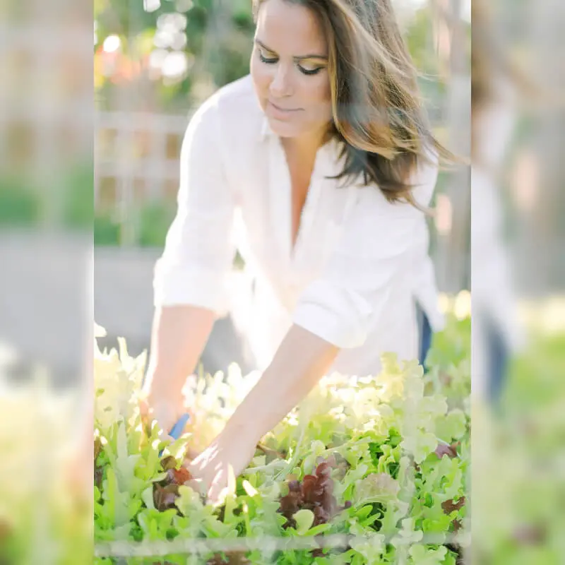 Katie Rhineholz, Owner of White Trail Flower Farm